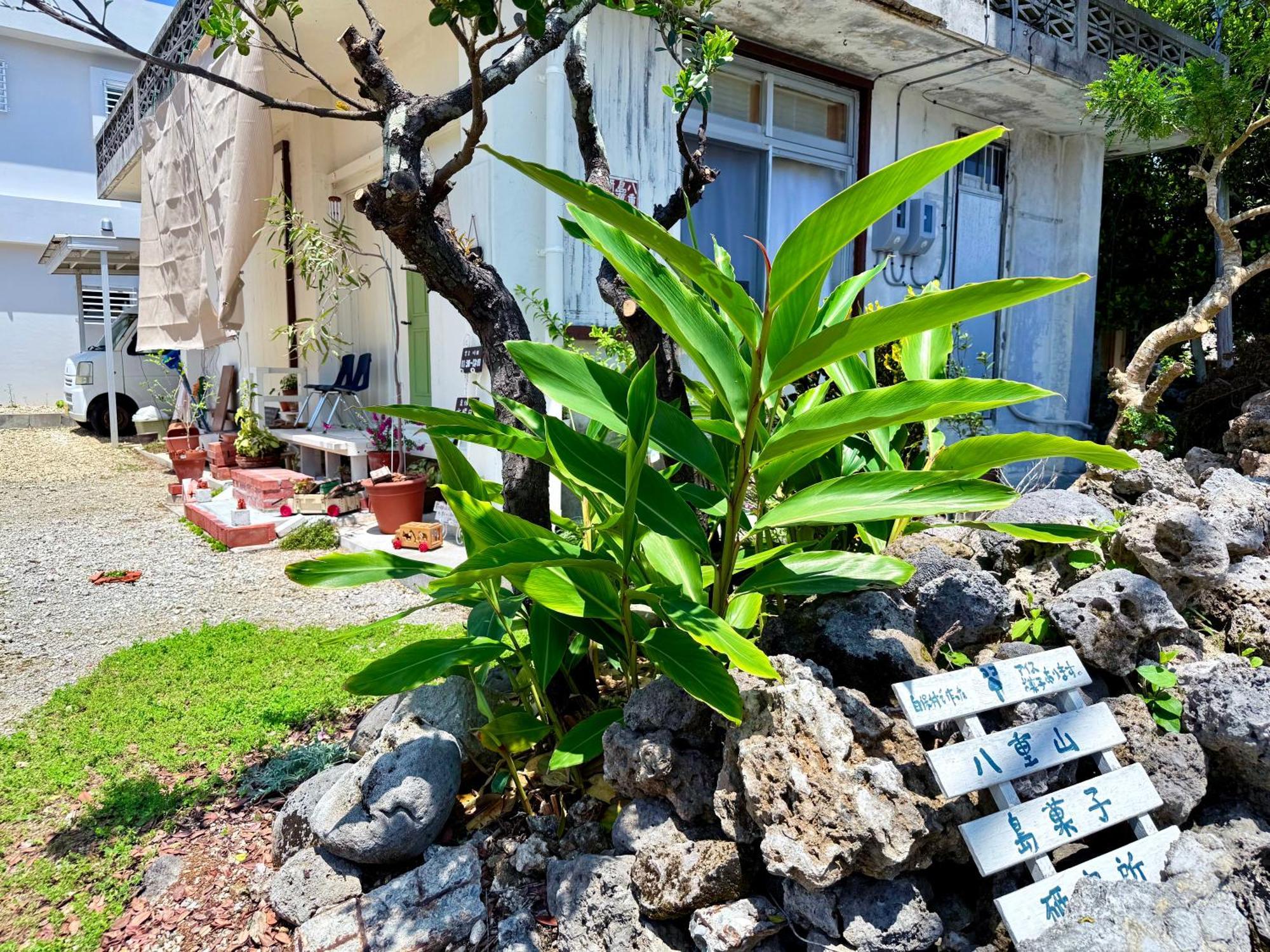 星降る夜と天然木の香りに包まれる新築癒しの隠れ家ishigaki Villa En えん מראה חיצוני תמונה